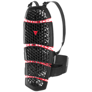 Dainese Protector de espalda Pro-Armor Back Short 2.0 - Altura <174cm/68.5in | 20187620900100 