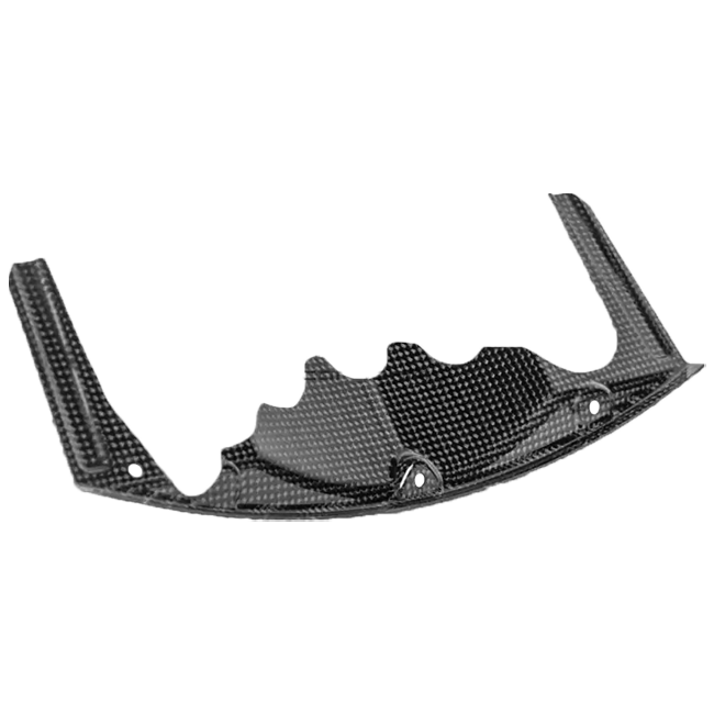 Deflector de aire para radiador de SBK Carbon Carbonin BMW S1000RR K67 (19-22) CB4071 