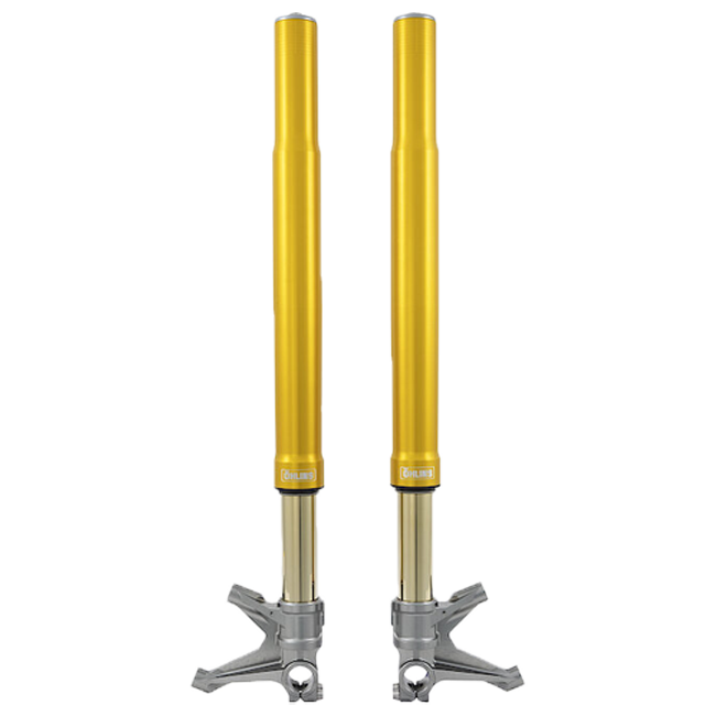 Suspensión delantera Öhlins FGR 256 Racing – Ducati Panigale V4/S 2025 ...