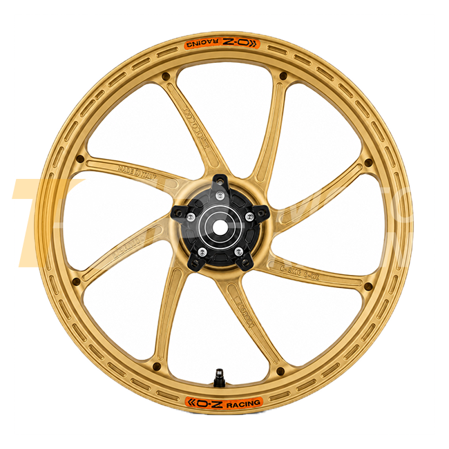 OZ GP Replica llanta trasera de aluminio GP-8R Ducati Panigale V4/S/R (25-26) V6332DU60 
