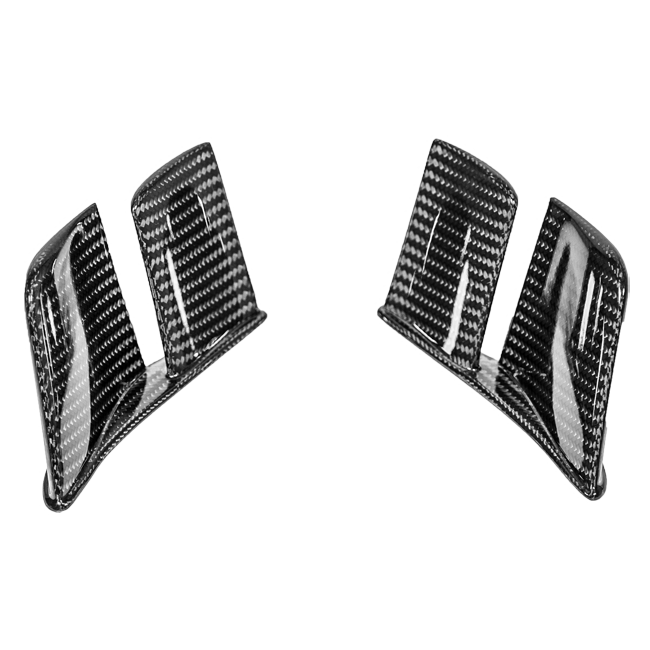 Alerones traseros MotoGP 200g AP Carbon Line Ducati Panigale V2 955 (20-24) 