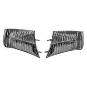 Alas 400g AP Carbon Line Ducati Panigale V4/S/R (22-24) 