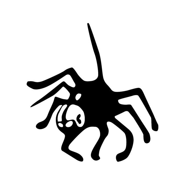 Spider