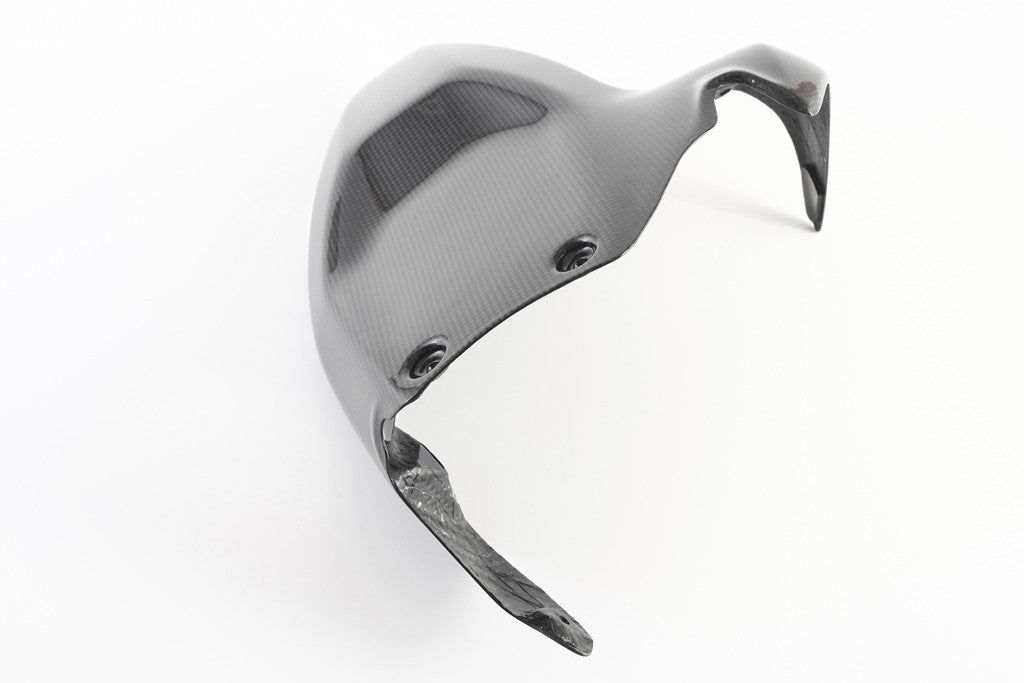 Guardabarros trasero de carbono Fullsix Ducati Panigale 1199/R/S (12-17) 