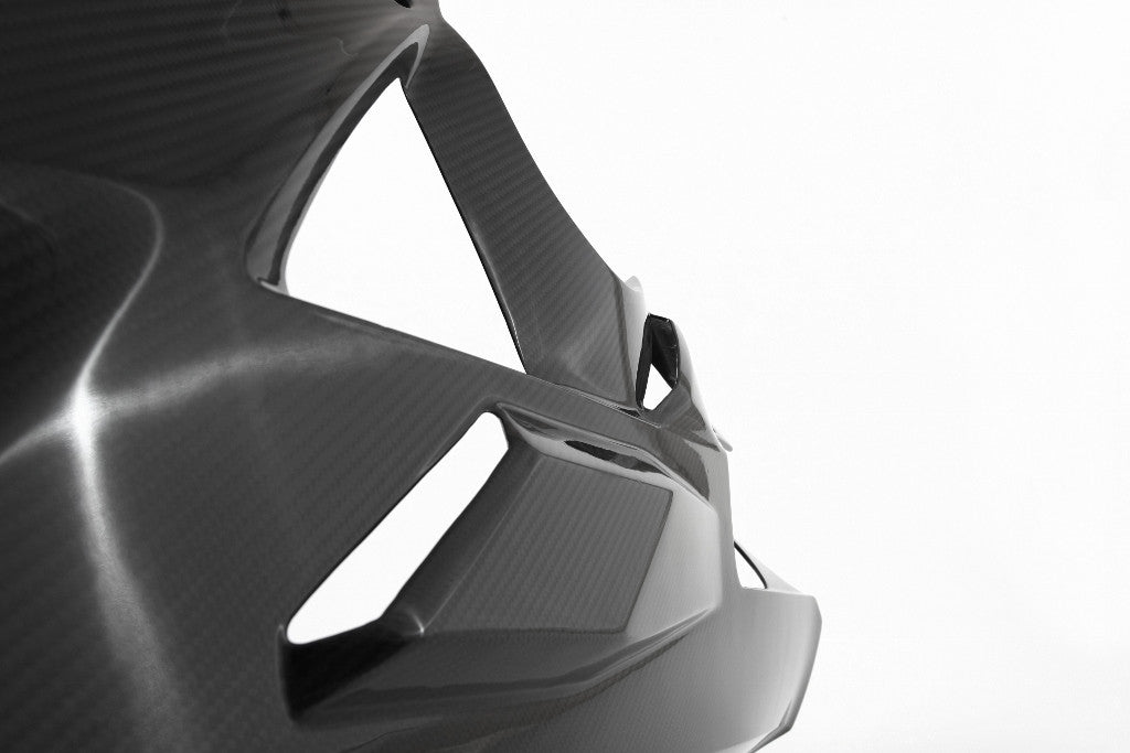 Spoiler de bicho "Street" Carbono Fullsix BMW S1000RR K46 (09-14) 