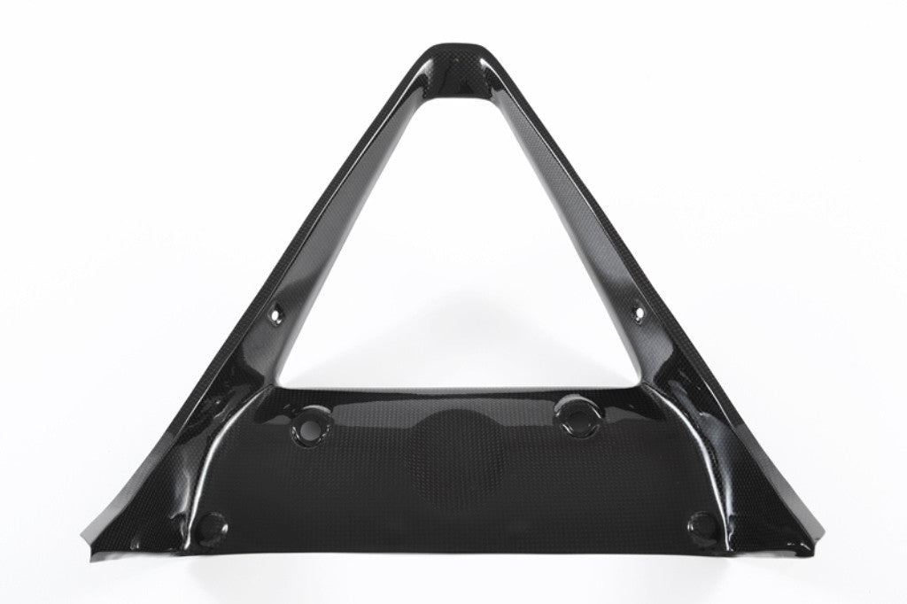 Carcasa de radiador Carbon Fullsix Ducati Panigale 1199/R/S (12-17) 
