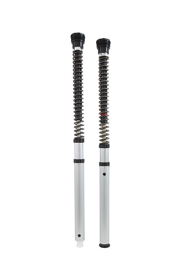 Kit de cartucho Öhlins NIX 30 FGK 229 Ducati Panigale V2 955 (20-24) 
